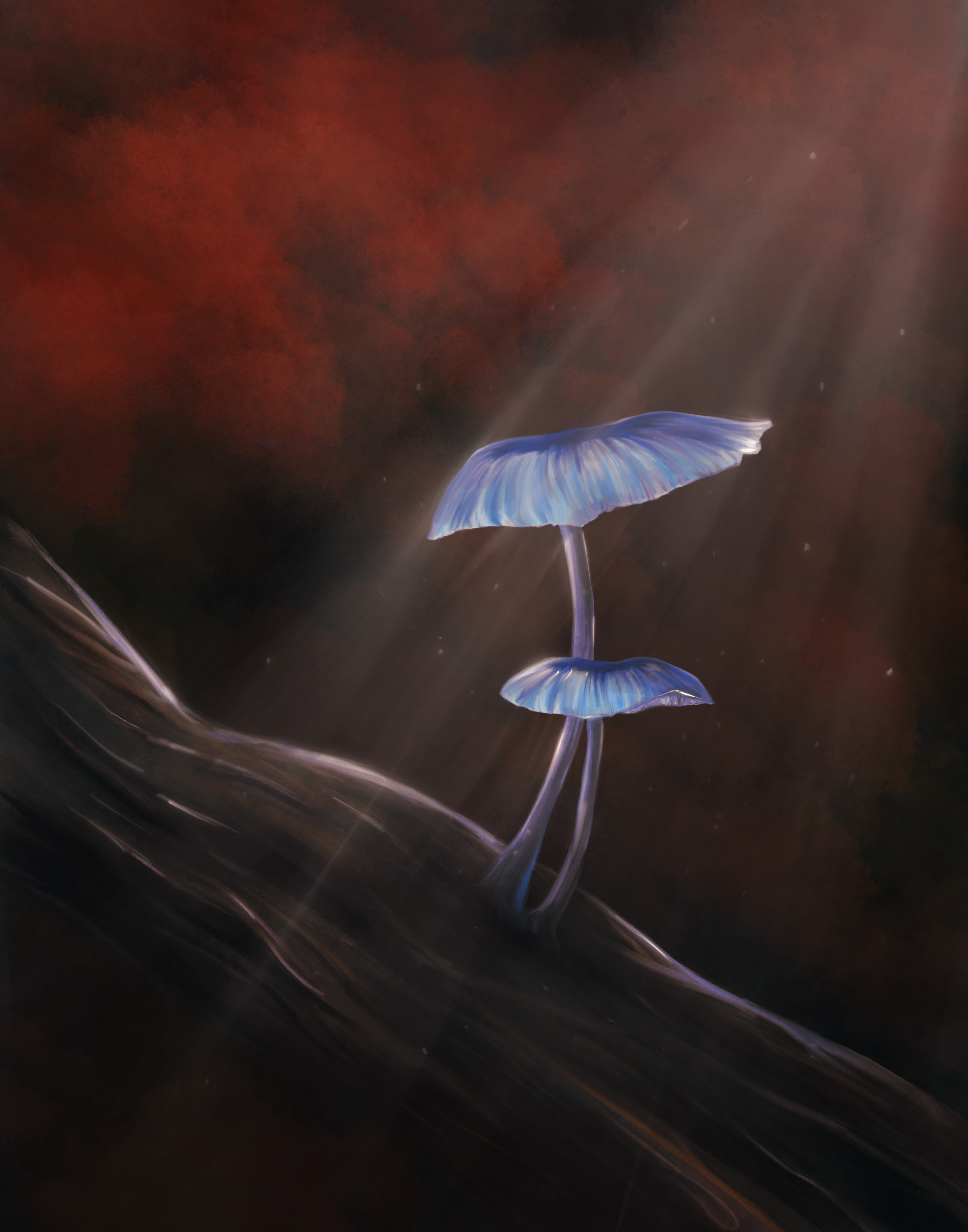 Pixie’s Parasol